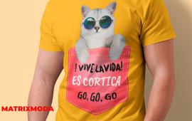 CAMSETAS-ESTAMPADAS-DTG (3)